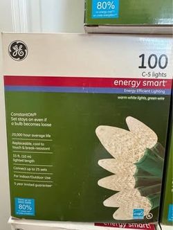 Christmas Lights – 100 LED C-5 Energy Smart 