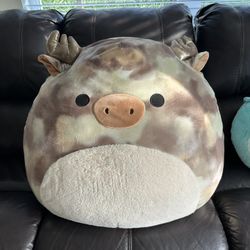 Big Squishmallow