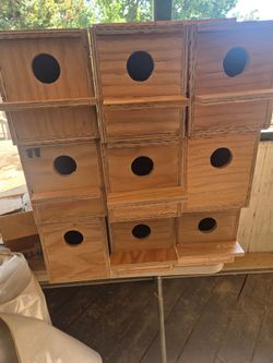 Love bird nest boxes