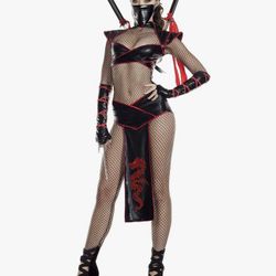 Alluring Assassin Costume