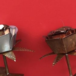 1 Copper Rose  $49 Each.  Get these for Valentine’s Day