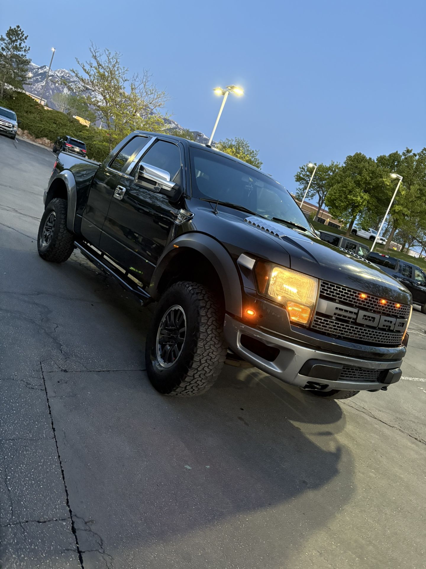 2010 Ford F-150