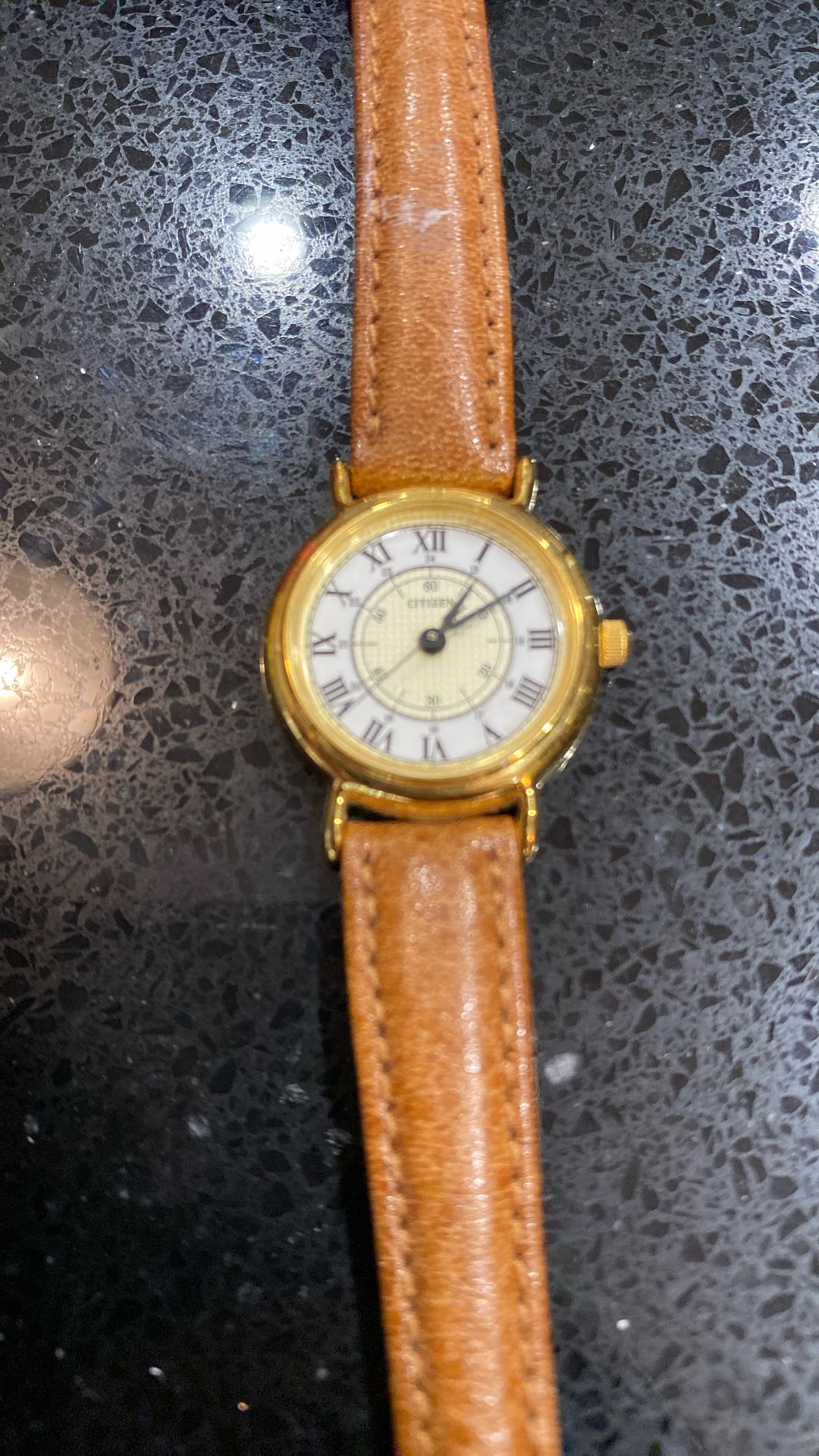 Citizen Women’s Watch 