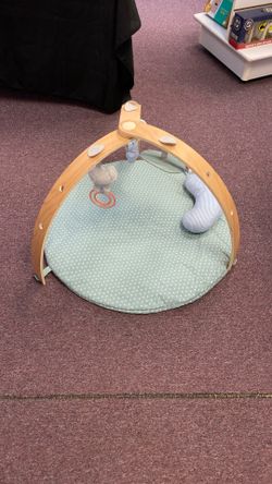 Ingenuity Reversible Duvet Playmat 