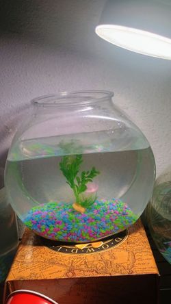 Fish tank