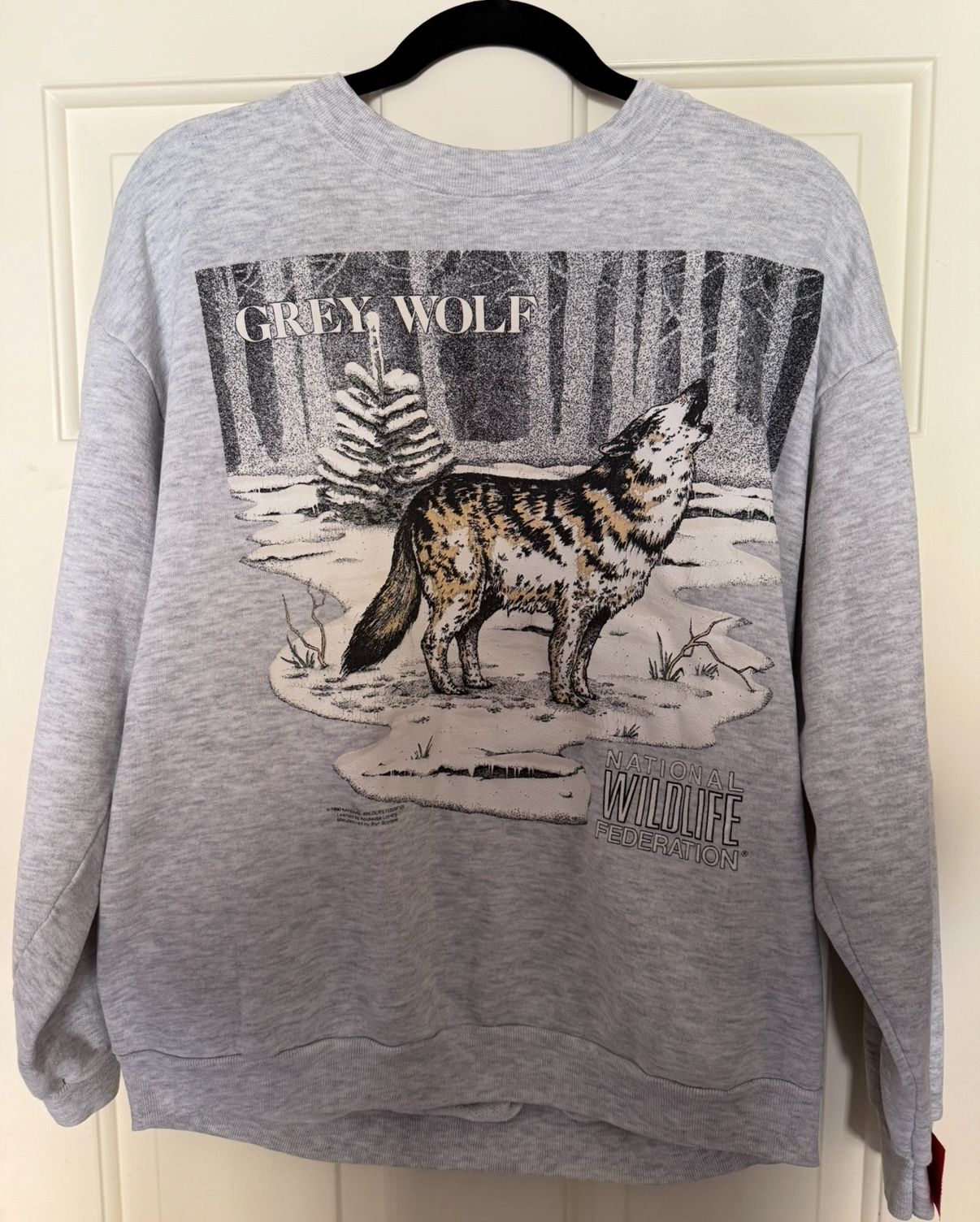 RARE Vintage National Wildlife Federation Sweatshirt 1990 (SIZE MENS MEDIUM/SMALL)