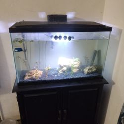 30 Gallon Fish Tank 
