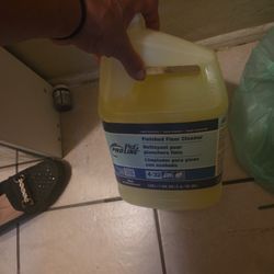 Flor Cleaner