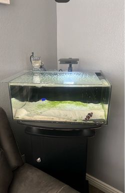 Saltwater aquarium with stand filter, pump, and light
