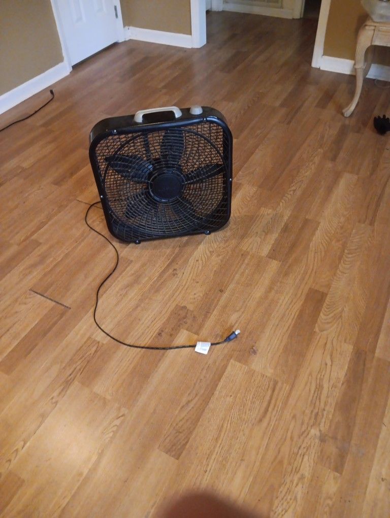 Fan