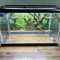 10 Gallon Reptile Enclosure /Fish Tank