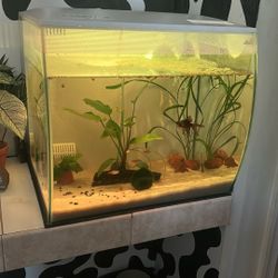 Fluval 15 Gallon Fish Tank 