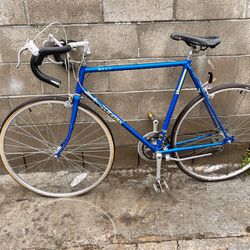 Blue Schwinn Quality World Sport Bicycle Bike Size 27 