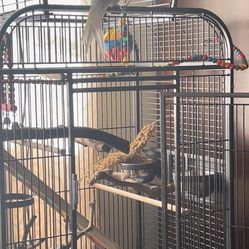 Parrot/bird Cage