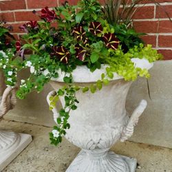 1 Planters For Sale 