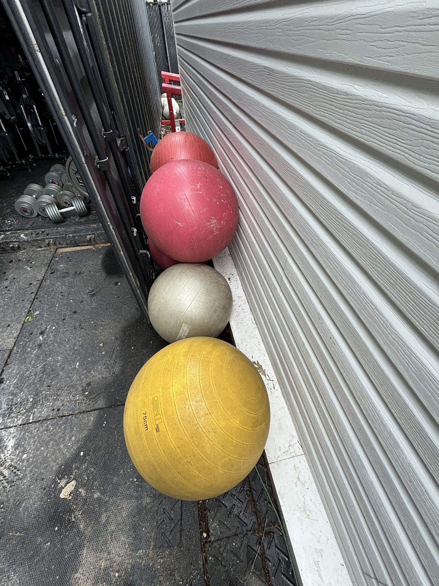 Exericse Balls