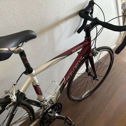 Beautiful Trek 2100 Road Bike 