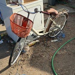 Schwinn Old School Bike