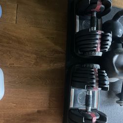 Bowflex Adjustable Weights 
