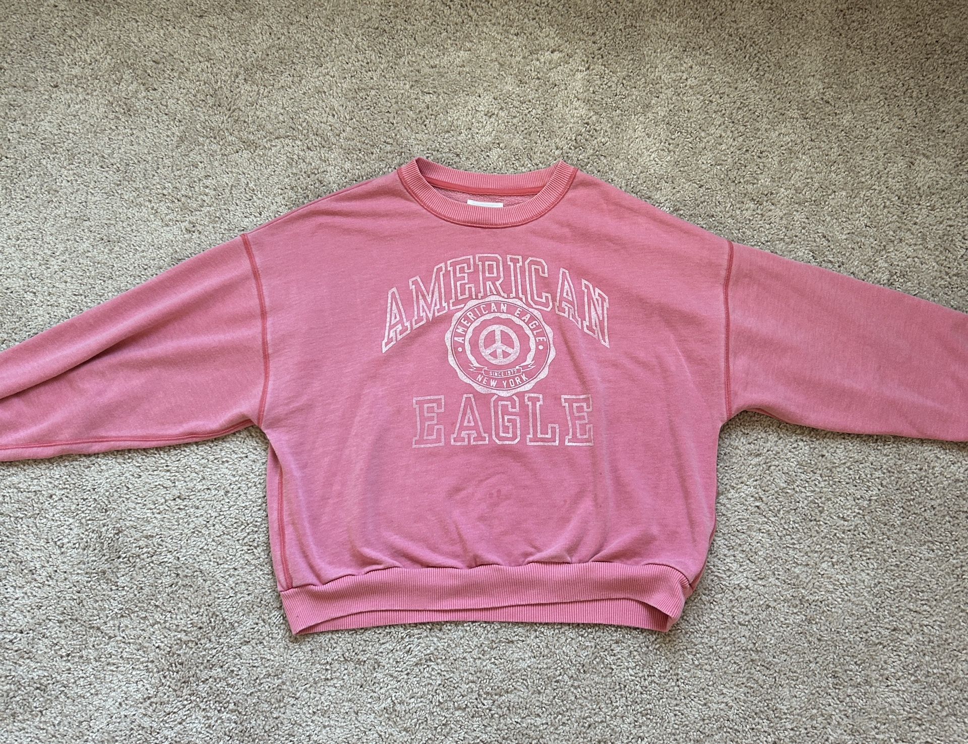 American Eagle Outfitters Sweatshirt. M