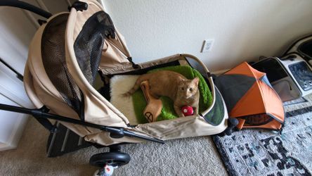Cat Stroller $189 - > $150 like new