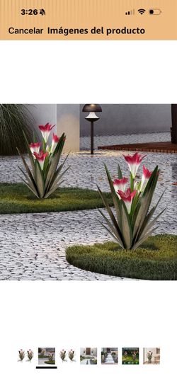 Outdoor plants  set of 2 $20 available only 3 sets