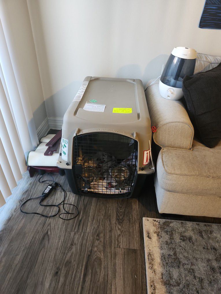 Dog Travel Crate TSA Approved