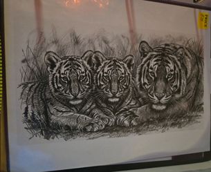 Hand Drawn Tiger and Cubs