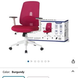 Nouhaus Palette Ergonomic Mesh Office Chair, Breathable Office Computer Desk Chair with Adjust Lumbar Support and Armrest Executive Task Chair (Burgun