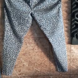 Women's Knox Rose Leopard Print Pants 