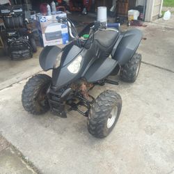 125cc Quad Type Of Polaris 