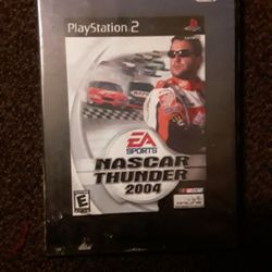 Ps2 Nascar Thunder 2004