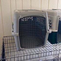 Dog crates 