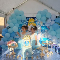 Cinderella Dresses 2 For $45 Or 1 For $25, My Twins Used This To Celebrate Their 4th Birthday. 