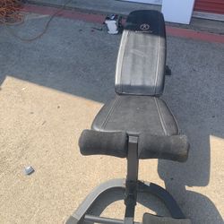 Weight Bench 