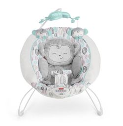 Fisher Price Deluxe Bouncer, My Little SnugaMonkey