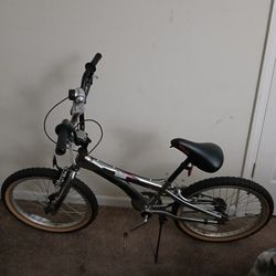 Pacific Mountain Bike