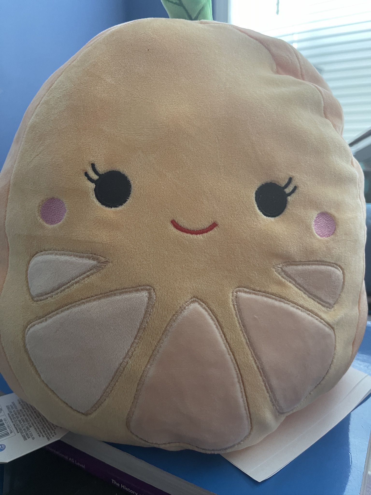 Inside Out Squishmallow