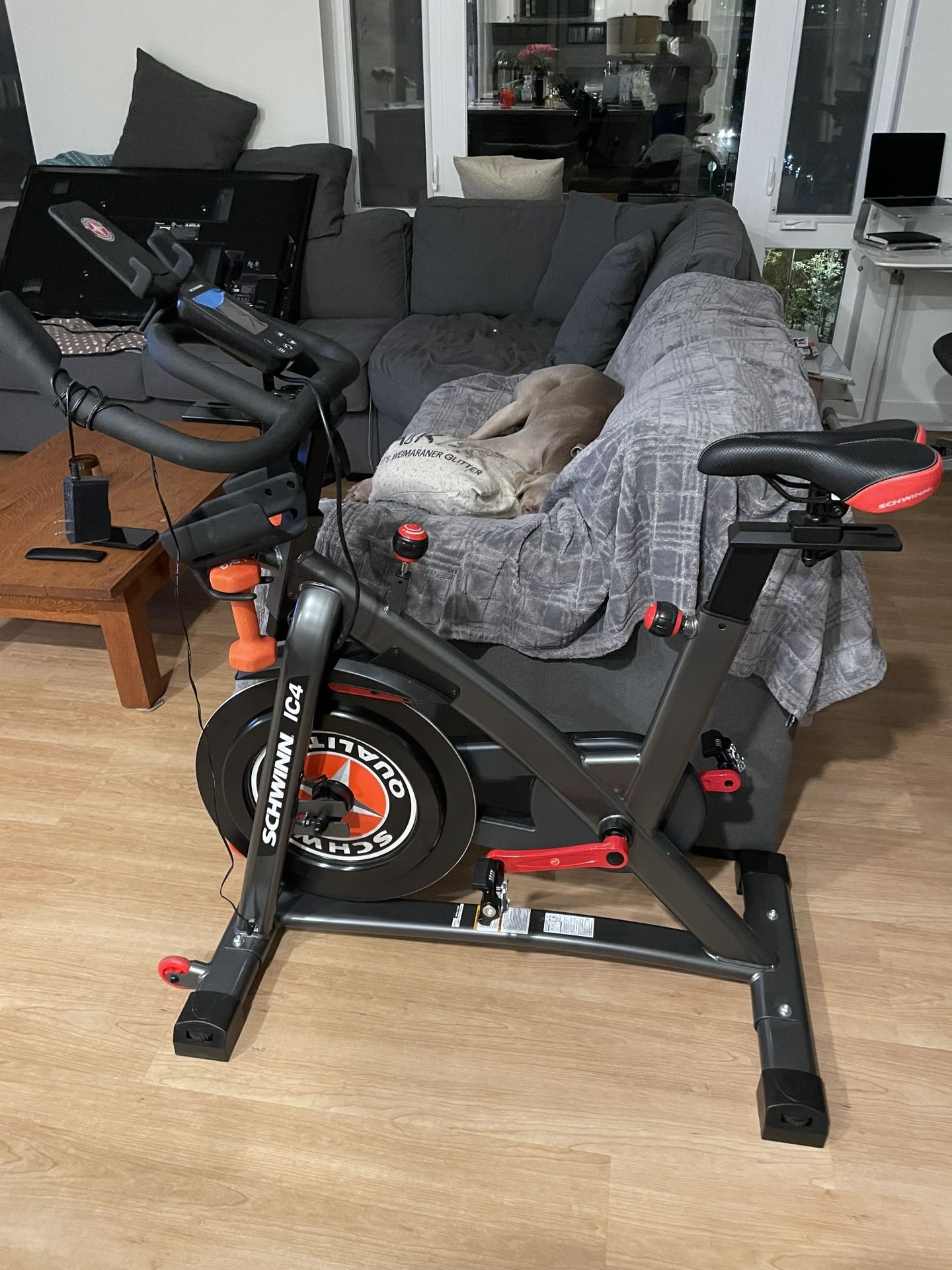 Schwinn IC4