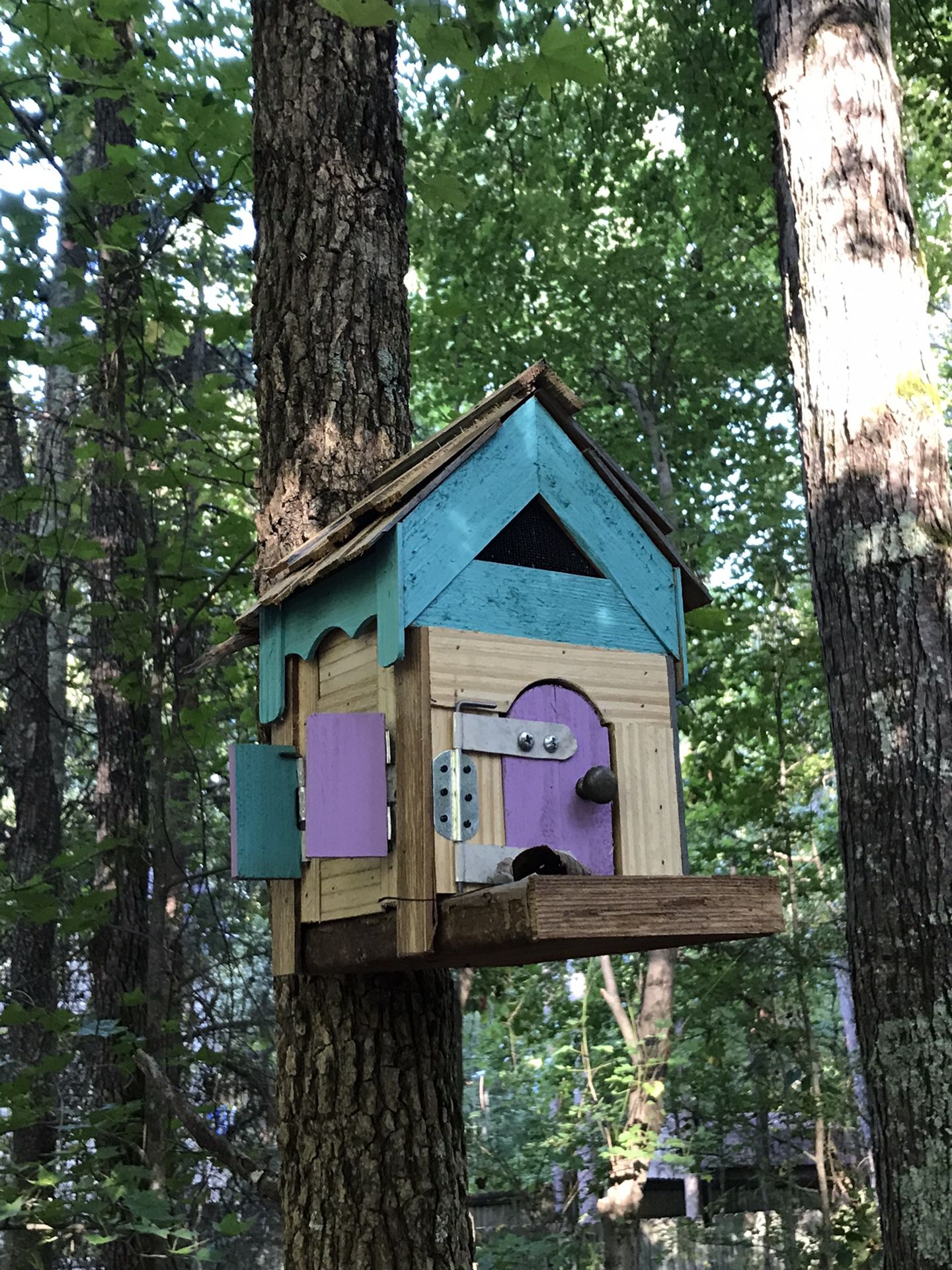 Custom Made Bird Houses