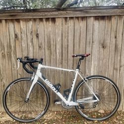 Giant Road Bike