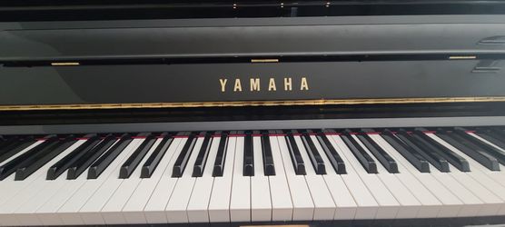 Yamaha U3 Piano 2024