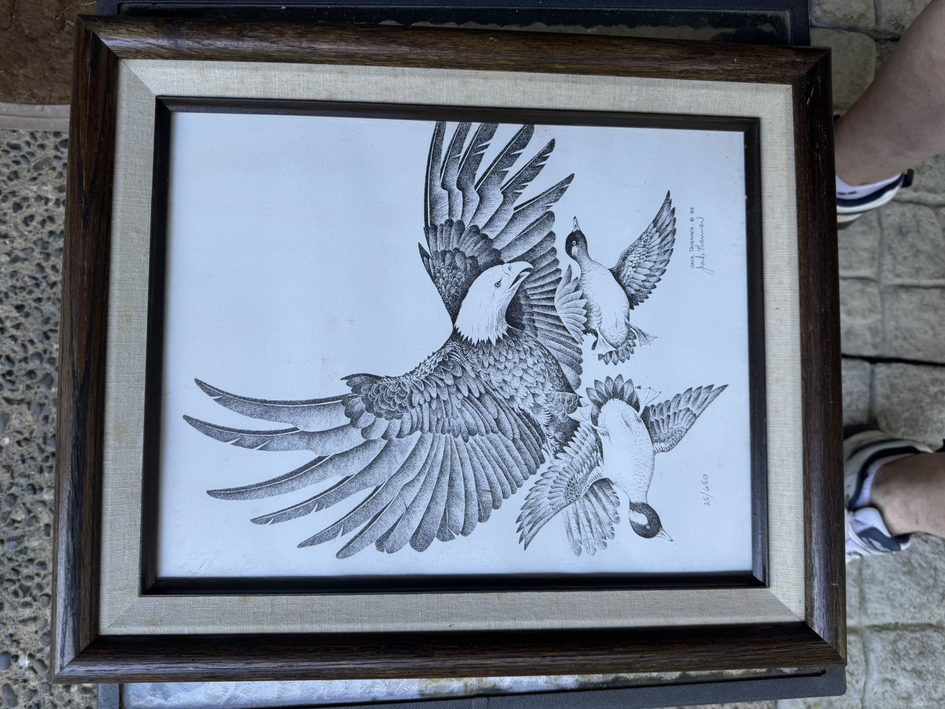 Jack Tavenner Framed And Signed Bird Lithograph