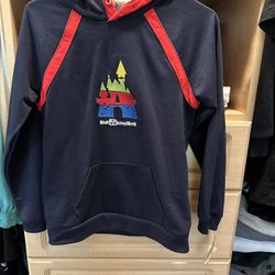 Young Boy Disney World Hoodie