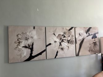 Magnolia Wall Frames