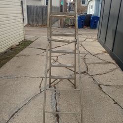 Ladder 6ft