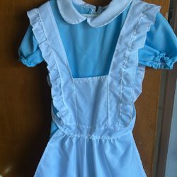 Alice In Wonderland Dress