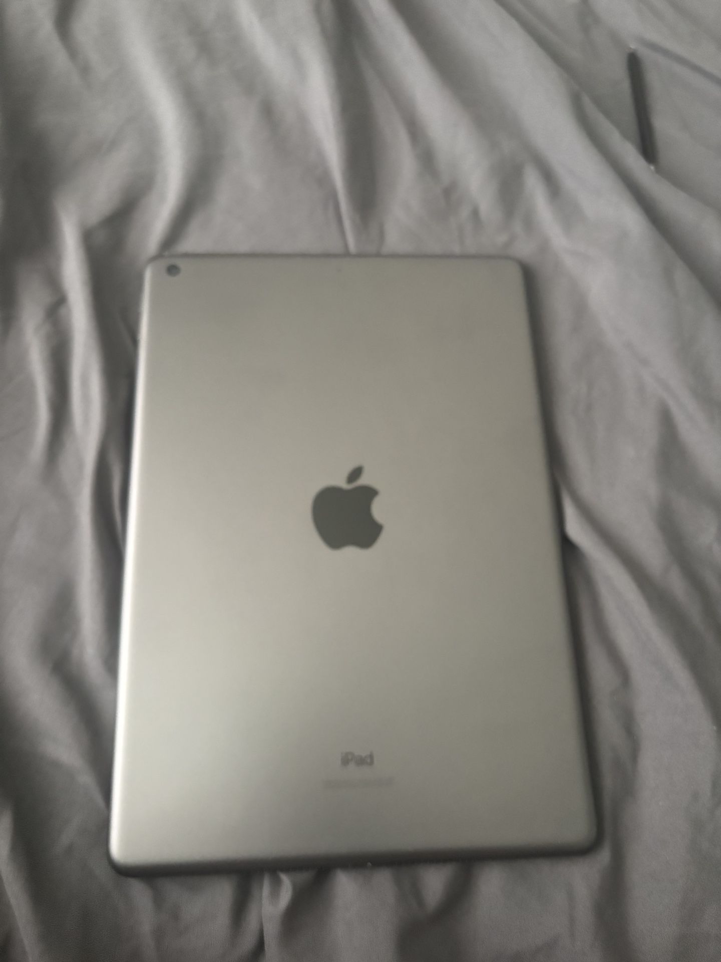 iPad