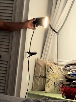Clip-On Gooseneck Desk Lamp