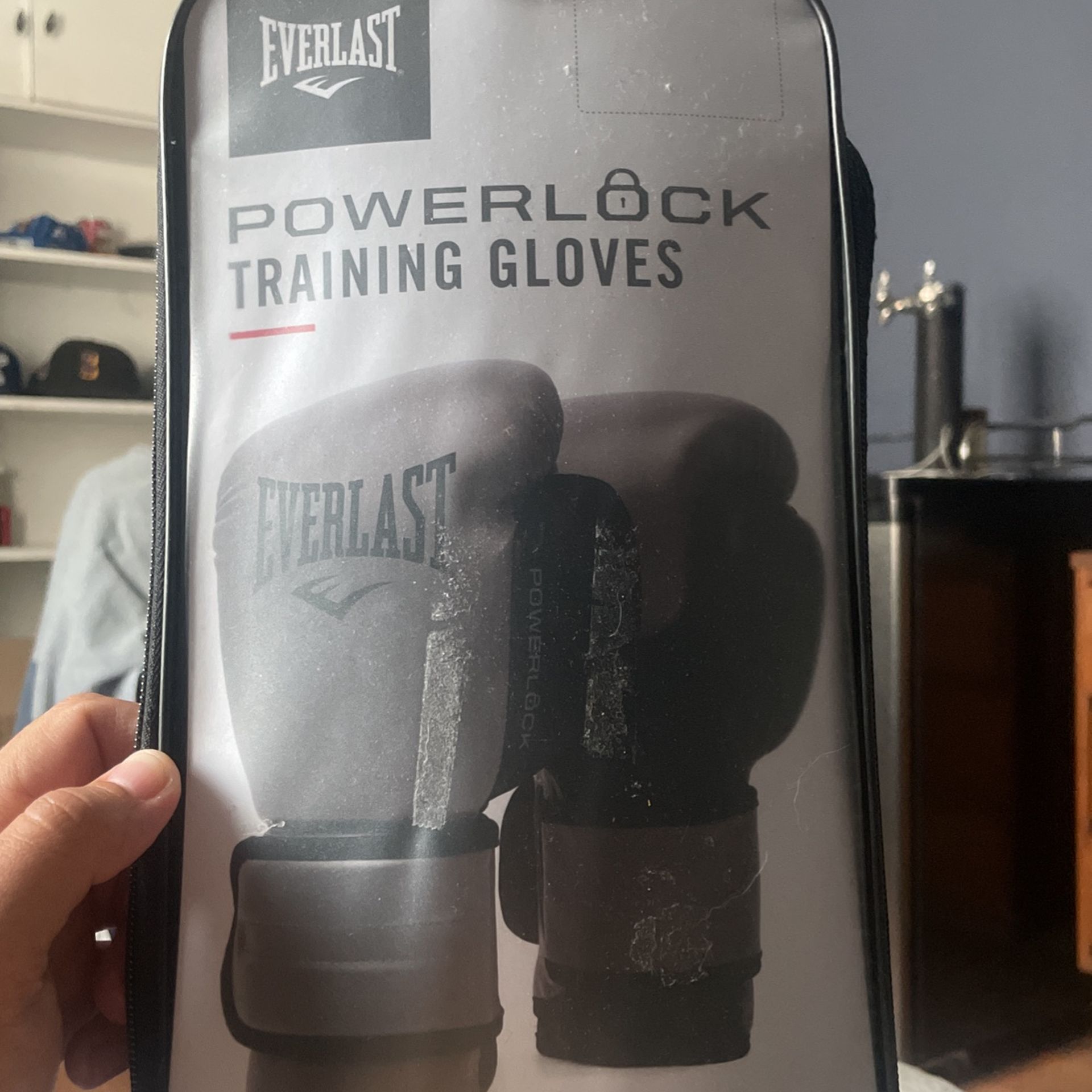 16 oz Everlast Training Gloves.